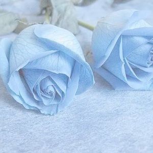 Meet your Posher, Jeniffer